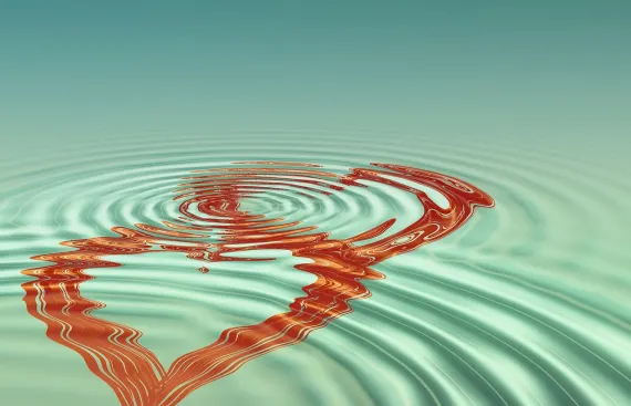 BoVegas Cazino Cazinou Suport